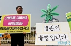 의료용 대마는 서울만 팝니다 지역 거점약국 좌초 이후