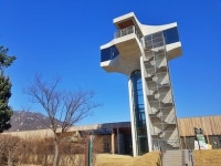 코로나19 걱정 없이 봄맞이 산책, 서울 창포원