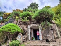 경남 함양 여행② 상림 연꽃에 눈 씻고, 오도재 바람에 귀 씻고, 서암정사에서 마음 씻고