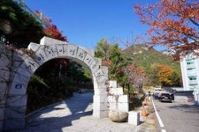 가야산 자락에서 조선시대 숲과 마을 여행, 경북 성주