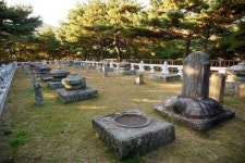 가야산 자락에서 조선시대 숲과 마을 여행, 경북 성주