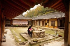 올해 마지막 기회! 하루짜리 충주 사과 따기 체험