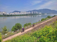 물의 도시에서 즐기는 물길과 숲길, 미사경정공원과 나무고아원