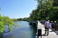 의림지 둘레길 따라, 배론성지 실개천 따라 제천 역사 산책