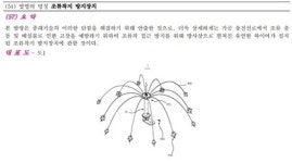 꼭 이렇게까지… 패션쇼핑몰 엔터식스 버드스파이크 설치 논란