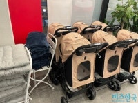 [현장] 스타벅스도 한다는데…규제샌드박스로 생겨난 펫 프렌들리 카페 가보니