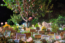 [현장] 3년 새 30개 늘어난 반려동물 장례식장…접근성 떨어져 불법 업체도 성행