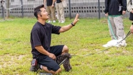 행복하개 재미있개 우리 댕댕이랑 남이섬 펫 힐링캠프 가볼까