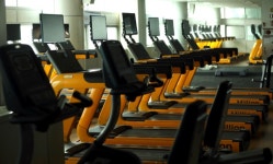8일부터 실내체육시설 조건부 운영재개  | 같은 시간대 9명 이하의 만 19세 미만 아동·학생을 교습하는 모든 실내체육시설 운영 가능... 성인... 
