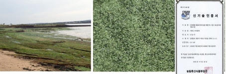 소 분뇨, 방귀 등에서 배출되는 메탄가스 감소 기술 나왔다! | 이안스주식회사 국내 최초 개발...메탄저감 첨가제 연구 신기술인증(NET인증) 획득