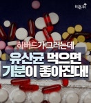 하버드가 그러는데, 유산균 먹으면 기분이 좋아진대!