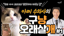 [반려동물] 아찌 수의사의 구냥 오래살개! #1 (웨스턴동물의료센터 박정훈 과장 & 여에스더 박사)