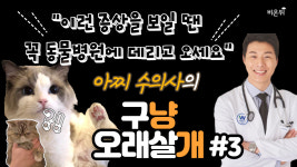 [라이브] 동물병원에 바로 가야하는 증상,행동  [아찌 수의사의 구냥 오래살개] #3 (웨스턴동물의료센터 박정훈 과장)