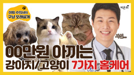 00만원 아끼는 강아지/고양이 7가지 홈케어 비법!! (웨스턴동물의료센터 박정훈 수의사) [아찌 수의사의 구냥 오래살개]