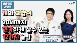 건강하게 살 수 있는 20가지 꿀팁 Q. 강아지, 고양이 비만도 평가법, 이거 하나면 나도 할 수 있다 (청담우리동물병원 윤병국 원장 & 정진희PD)