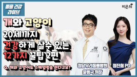 고양이, 20세까지 건강하게 살 수 있는 12가지 꿀팁 2편 Q. 개와 고양이도 스케일링을 한다고요? (청담우리동물병원 윤병국 원장&정진희PD)