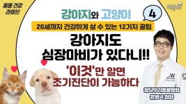 [동물 건강] ‘개와 고양이 20세까지 건강하게 살 수 있는 20가지 꿀팁’ #4 Q. 강아지도 심장마비가 있다니?! (청담우리동물병원 윤병국 원장) #1