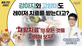 [동물 건강] ‘강아지, 고양이도 레이저 치료를 받는다고? 재활치료의 모든 것을 파헤쳐 보자’ (청담우리동물병원 윤병국 원장)