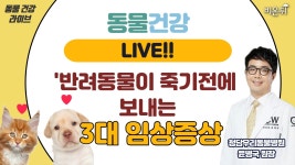 [동물건강 라이브] ‘반려동물이 죽기전에 보내는 3대 임상증상’ (청담우리동물병원 윤병국 원장)
