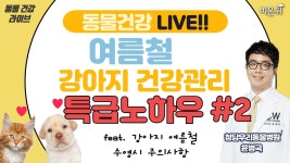 [동물건강 LIVE] ‘여름철 건강관리 특급 노하우 #2’ feat. 강아지 여름철 수영시 주의사항 (청담우리동물병원 윤병국)