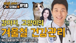 강아지, 고양이의 겨울철 건강관리(웨스턴동물의료센터 박정훈&김싱아 PD) [박정훈 수의사의 구냥 오래살개] #15