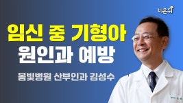 임신 중 기형아 원인과 예방 / 봄빛병원 산부인과 김성수