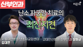 난소 자궁암 치료의 최신지견 / 서울아산병원 난소자궁암센터 김대연, 고대안산병원 산부인과 장하균