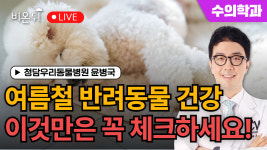반려동물 여름철 건강관리 꿀팁! 이것만큼은 꼭 체크하세요! / 청담우리동물병원 윤병국