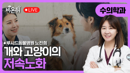 개와 고양이 저속노화 / 루시드동물병원 노진희