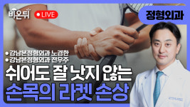 쉬어도 잘 낫지 않는 손목의 라켓 손상 / 강남본정형외과 노경한, 전우주