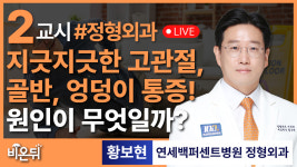 고관절 · 골반 · 엉덩이 통증의 원인은? / 연세백퍼센트병원 정형외과 황보현