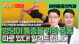 엉덩이 통증을 위한 운동은 따로 있다 / 고대안암병원 마취통증의학과 조학무, 부산백병원 마취통증의학과 조용현