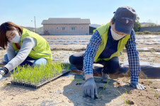 NH농협은행, 경기 용인서 농촌일손돕기 구슬땀