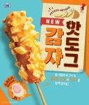 편의점 미니스톱, 핫도그와 감자큐브 합친 ‘감자핫도그’ 출시