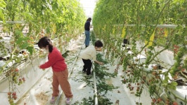 우리카드, 친환경 금융 위한 디지털 도시 농부 행사 성료