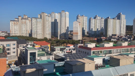 “울산은 다시 나를 떠나라고 하네!”