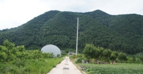 신원운동에서 가라앉지 않는 탄압