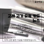 온산고래축산 | 고래 고기 유통 카드 뉴스