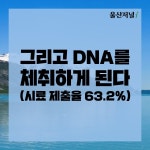 고래 고기 유통 카드 뉴스