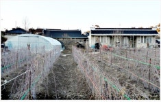 백산대회(白山大會)를 통해 본격적인 동학혁명으로 전환