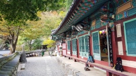 통도사 백운암에 선승들이 오다(1)
