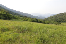 울주군, 태화강 발원지에 대규모 축산단지 계획