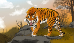 반구대 산군과의 만남