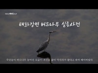 태화강백리길2-#오산대밭#여강이씨열녀비#팽나무