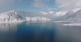 노르웨이 바다쉼터에 한국 벨루가들을 보내주세요