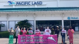 비봉이를 제주 앞바다로...호반 퍼시픽 리솜의 세 돌고래 다른 감금시설로 보내서는 안 된다