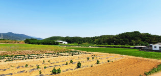 [울산양산지역사도서관 공동기획] 취성천과 작괘천은 삼남읍을 에워싸고 흐른다 - 향토사 주제답사(13)