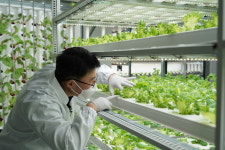 “이젠 기술이 사람을 먹여 살리는 시대, 스마트팜 저변 넓어졌으면” 이태성 아워즈팜 이사