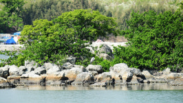 [울산 연안 생태 관찰] 공단 악취에 고통스러운 개운포성지