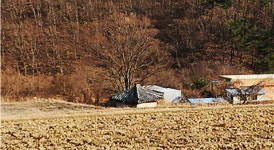 [지역사 답사] <울산지역사답사회 공동기획>  울주군 온양읍 마을 제당과 당산나무를 찾아서(4)